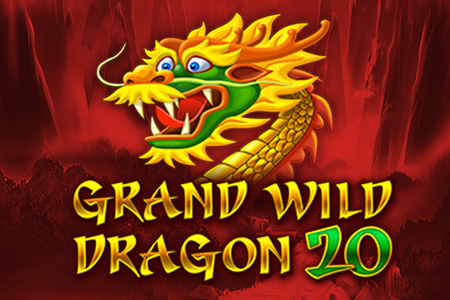 How Does Wild Dragon Casino Work?
